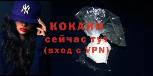 стафф Арсеньев