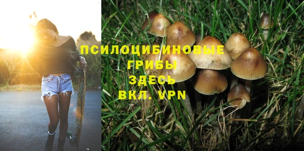 шишки Армянск