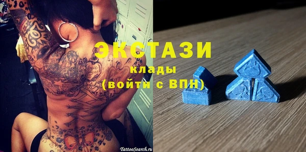 стафф Арсеньев