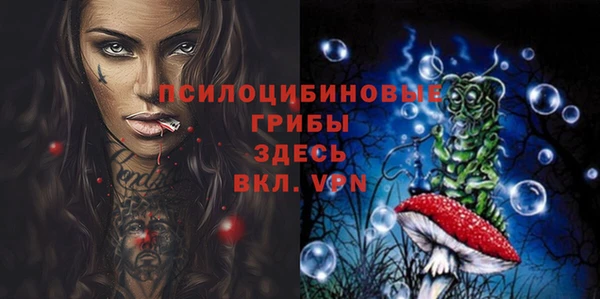 шишки Армянск