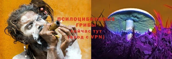 шишки Армянск