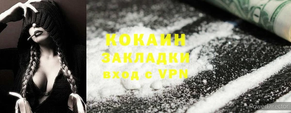 шишки Армянск