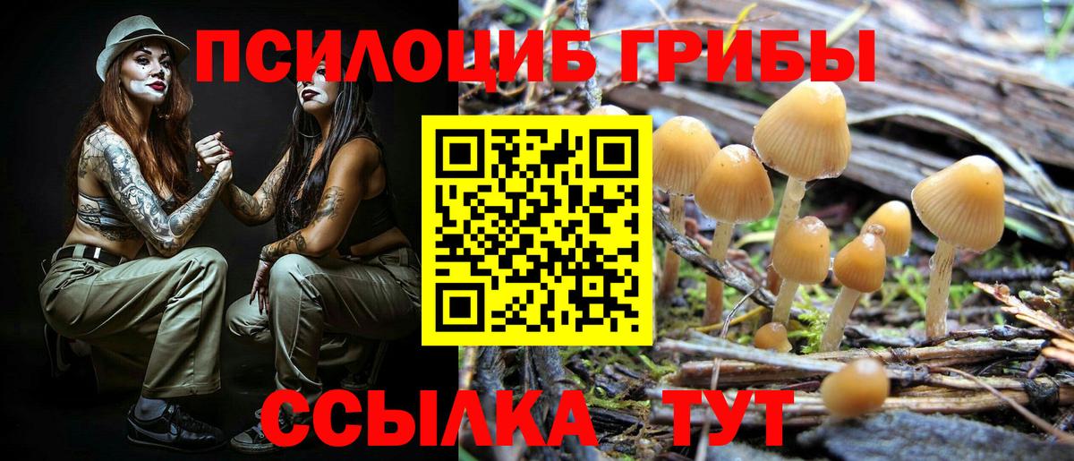 продажа наркотиков  Вход с VPN  Муравленко  Псилоцибиновые грибы Magic Shrooms 